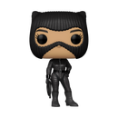 Selina Kyle Batman Funko Pop! DC Comics Vinyl Figure Common + CHASE Bundle
