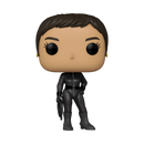 Selina Kyle Batman Funko Pop! DC Comics Vinyl Figure Common + CHASE Bundle