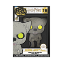 Harry Potter Funko Pop! Harry Potter Pin Bundle of 4